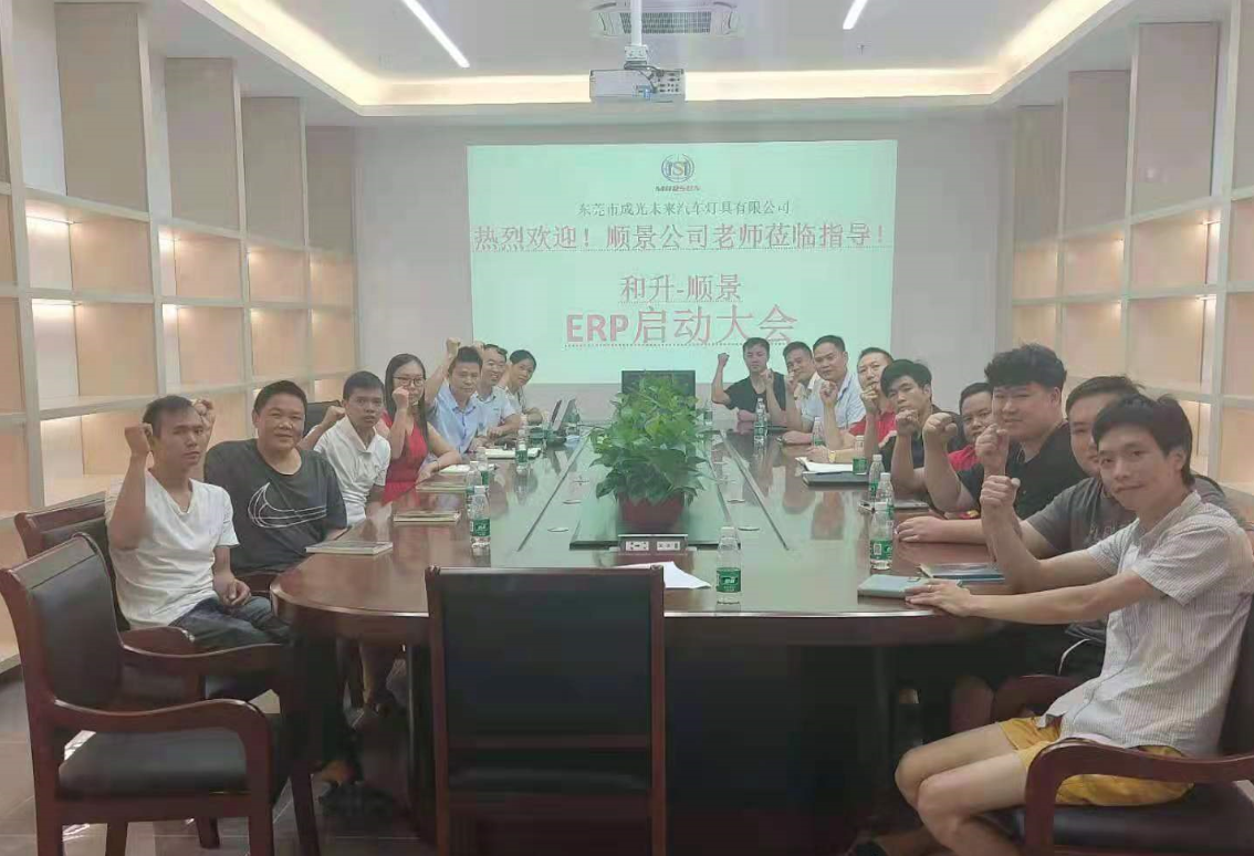 承前启后，智造先行!和升汽车照明公司携手乐鱼在线-乐鱼在线(中国)软件打造数智管理